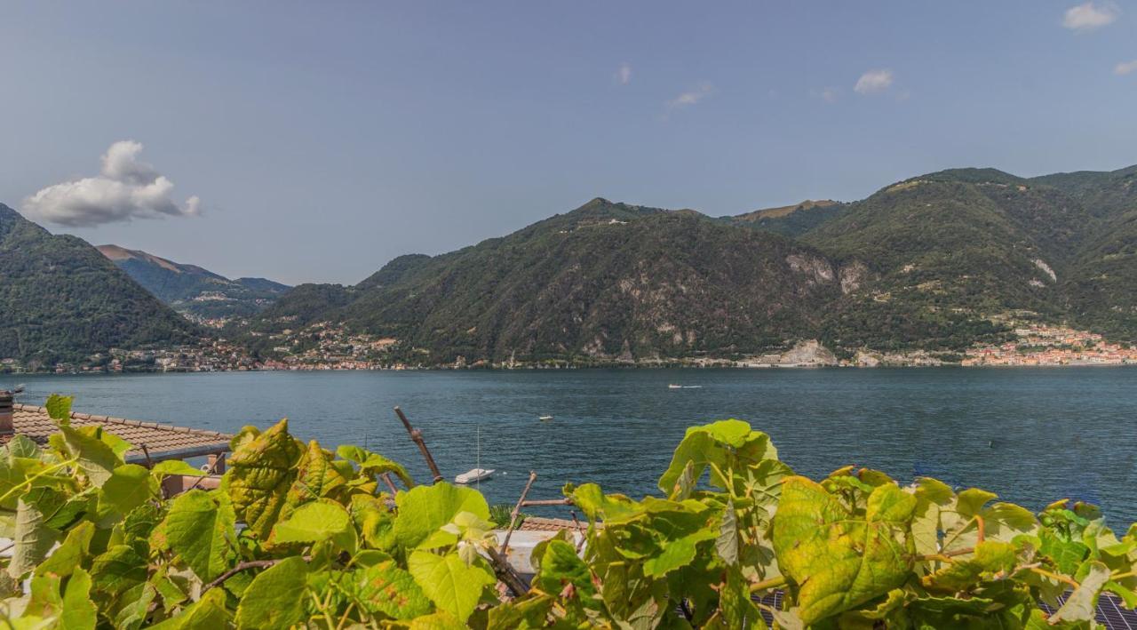 Ninfea Apartments By Wonderful Italy Lezzeno Bagian luar foto